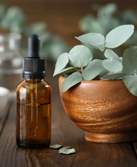 naturopathie-approche-fonctionnelle