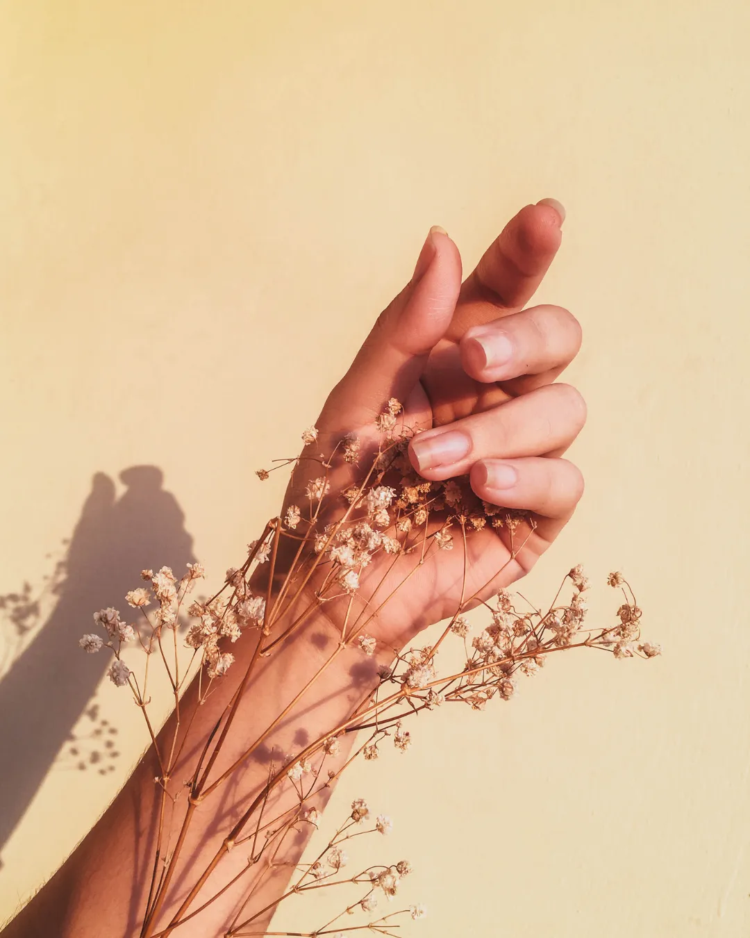 accompagnement-nutrition-hormones